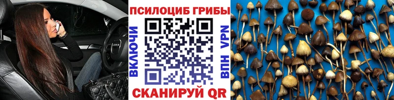 Галлюциногенные грибы мухоморы продажа наркотиков Певек